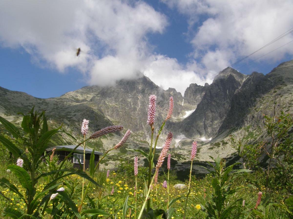 Penzion Bernardin Hotel Stará Lesná Eksteriør billede